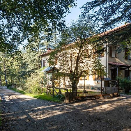 Villa Rifugio Asqua Poppi Exterior foto